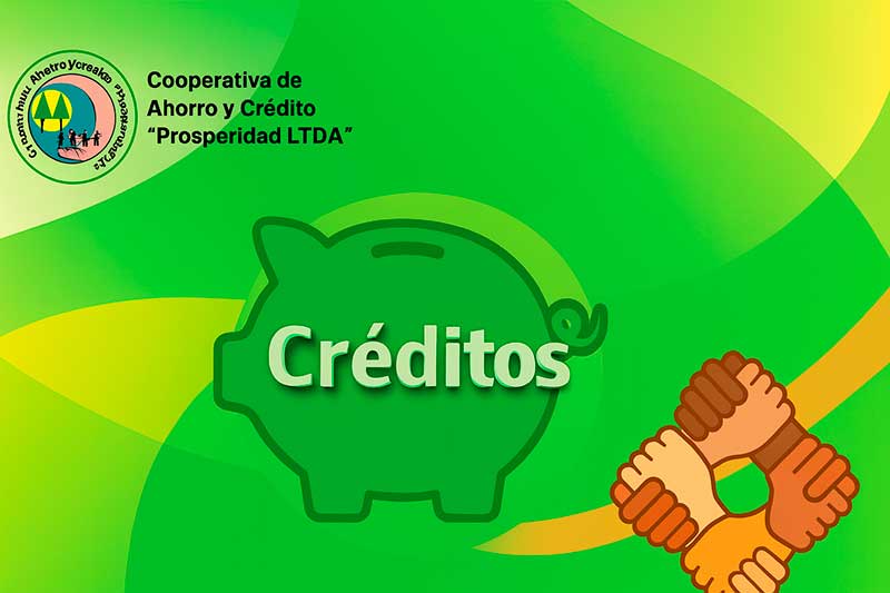 imagen-9